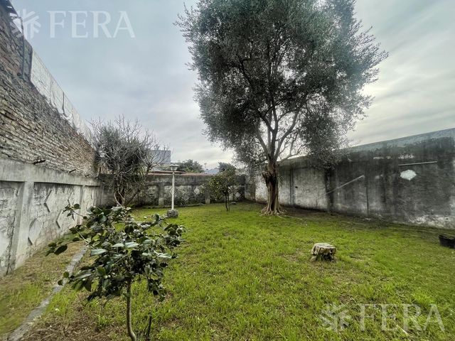 place photo 36