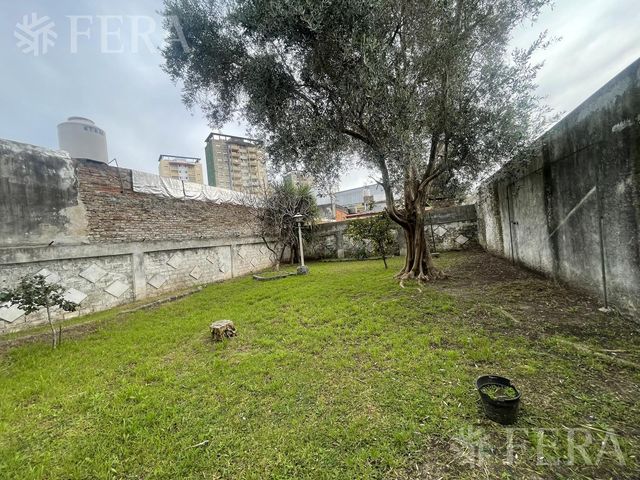 place photo 39