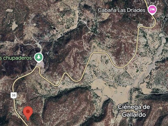 place photo 21