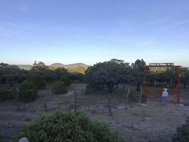 place photo 20
