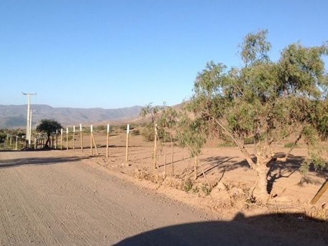 place photo 15
