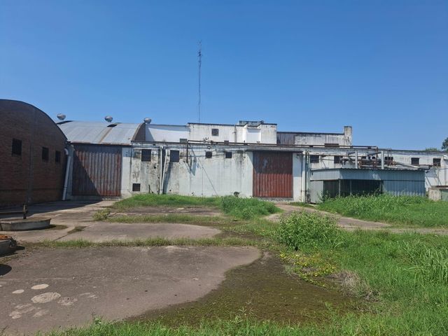 place photo 19
