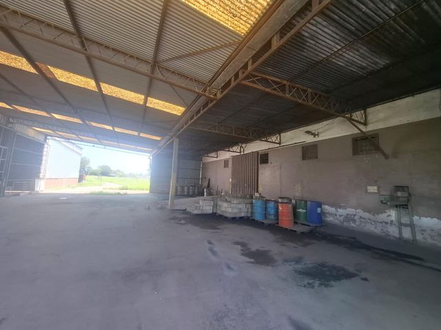 place photo 17