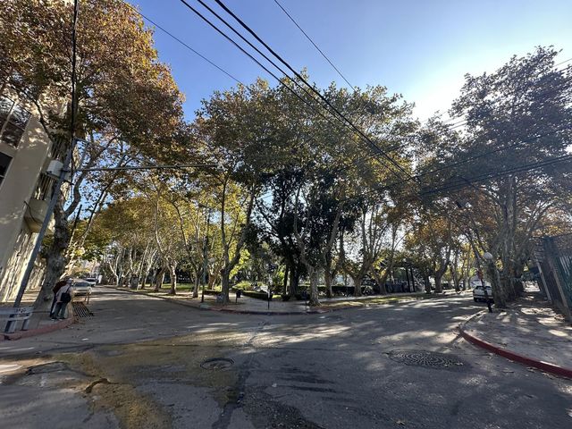 place photo 41