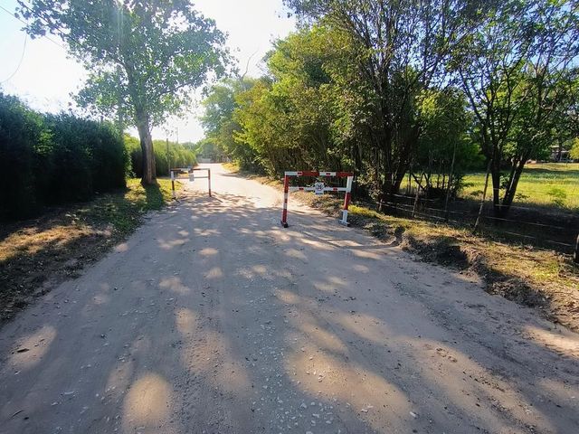 place photo 19