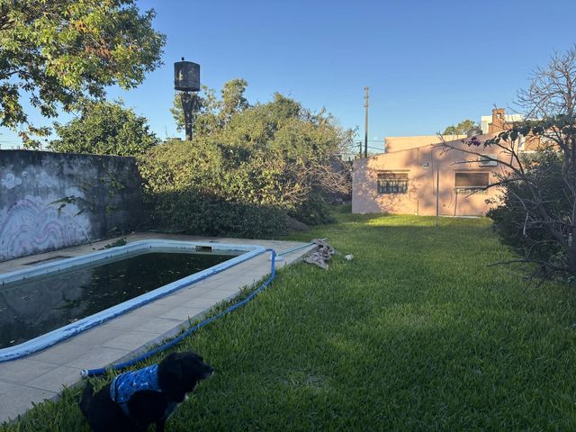place photo 19