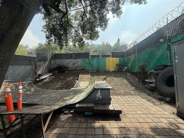 place photo 28