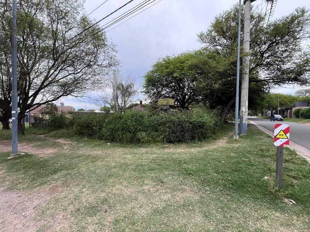 place photo 40