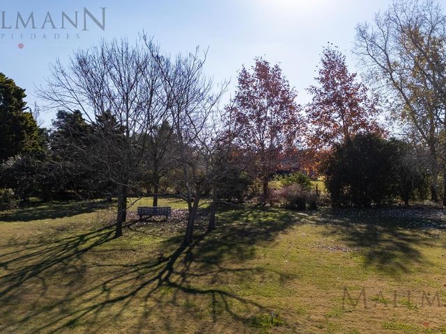 place photo 12