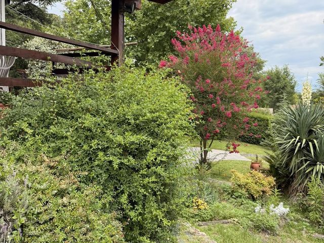 place photo 45
