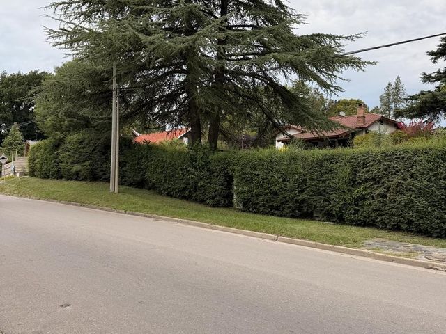 place photo 47