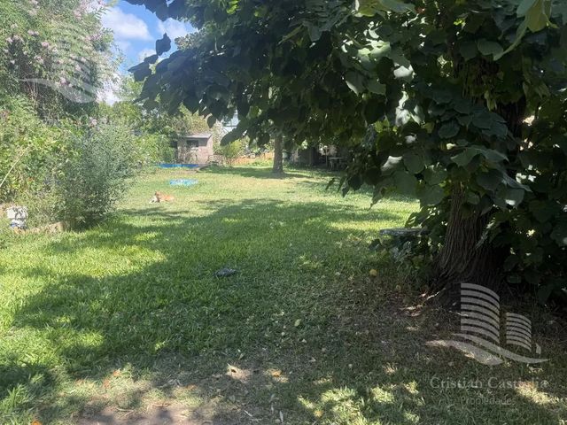 place photo 22