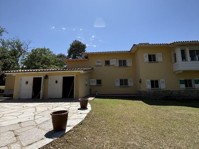 place photo 61