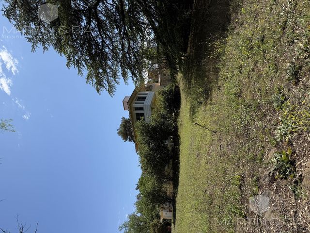 place photo 67