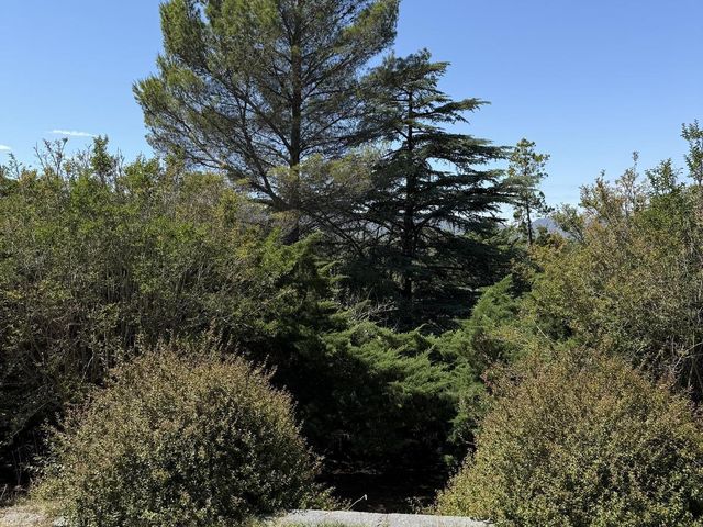 place photo 68