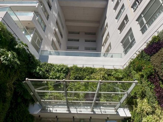 place photo 37