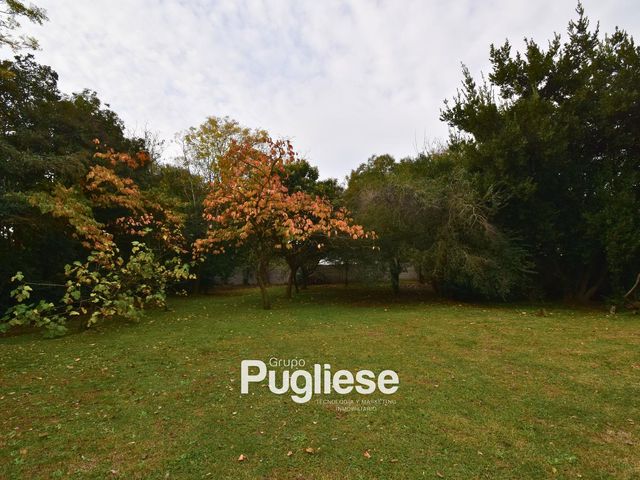 place photo 32