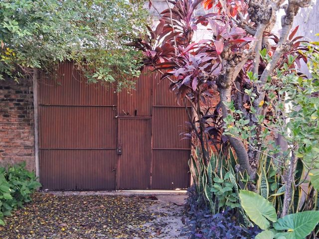 place photo 30