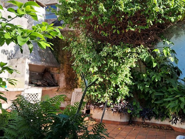 place photo 35