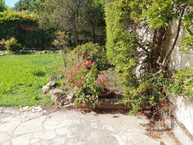 place photo 42