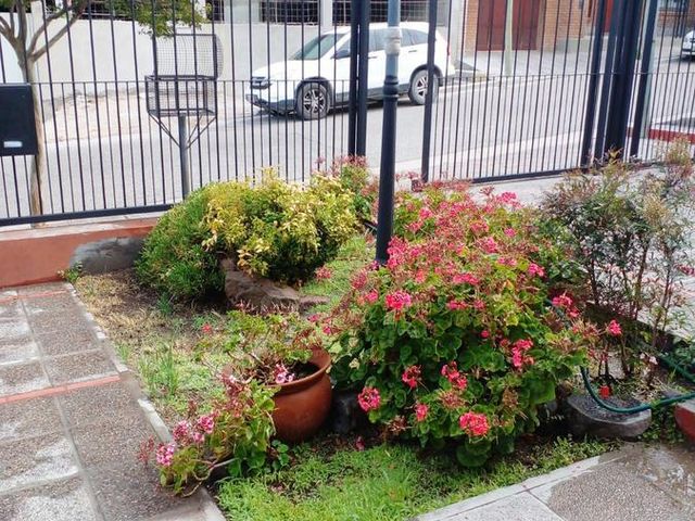 place photo 48