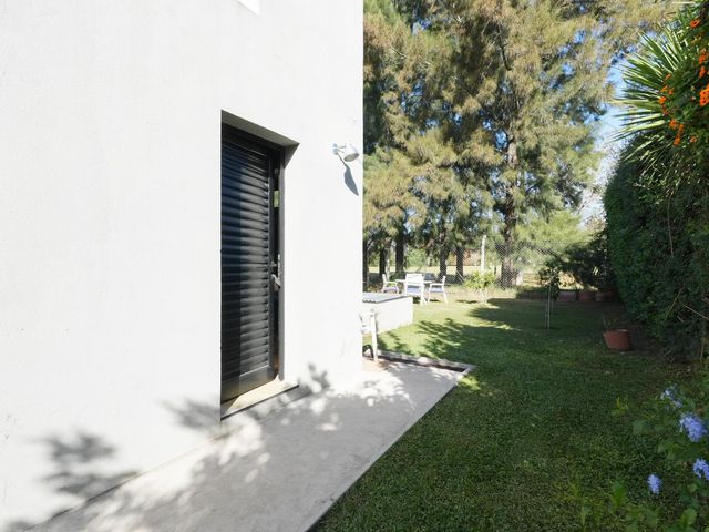 place photo 47