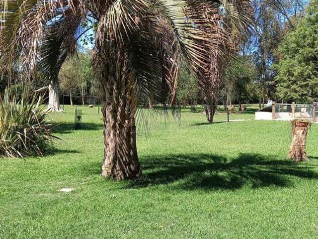 place photo 25