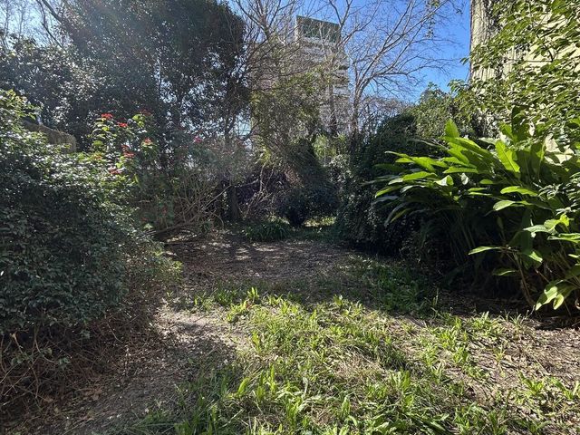 place photo 22