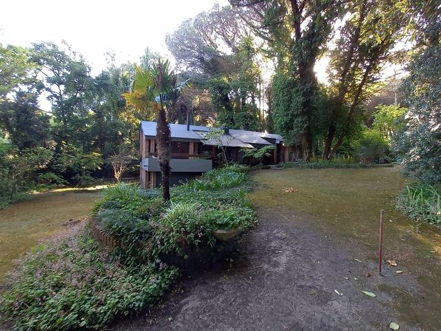 place photo 49