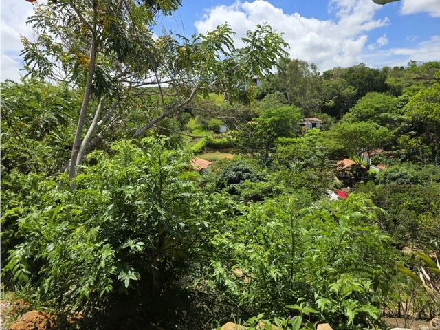 place photo 38