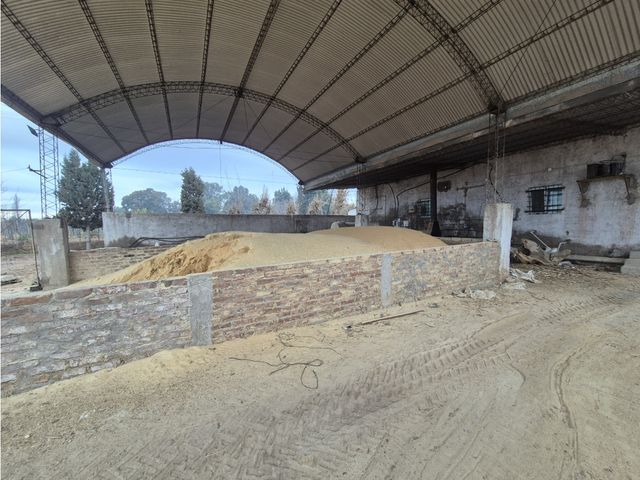 place photo 19