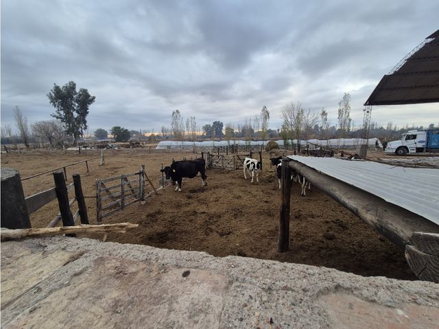 place photo 8
