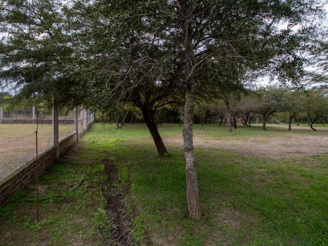 place photo 49