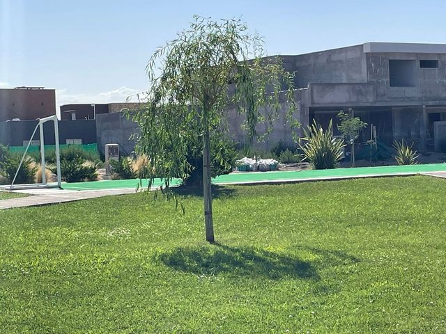 place photo 47