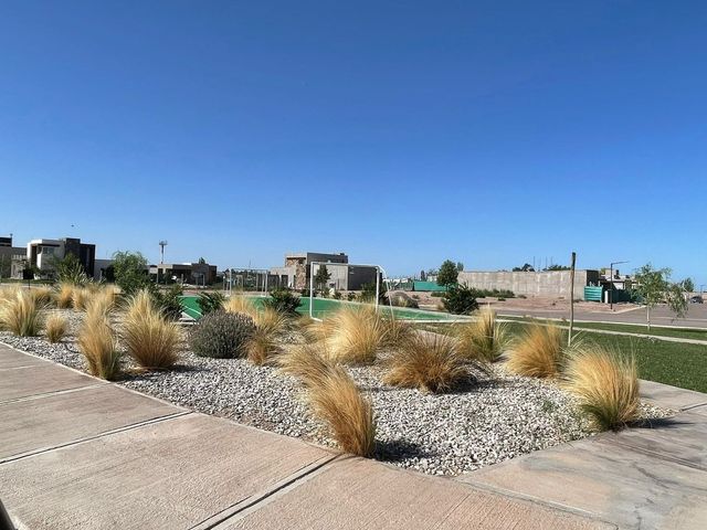 place photo 49