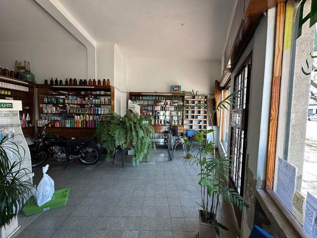 place photo 34