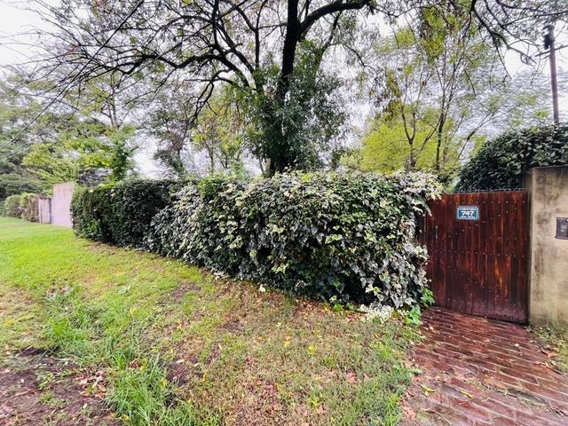 place photo 46