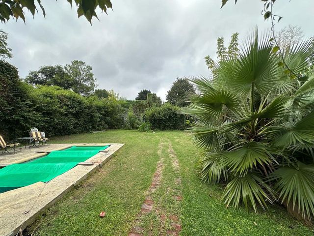 place photo 46