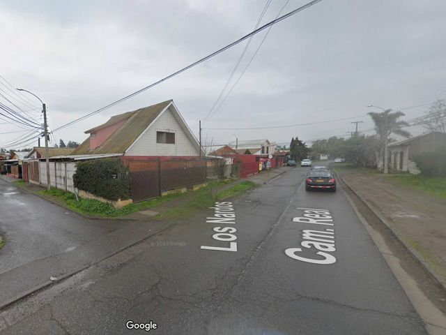 place photo 22