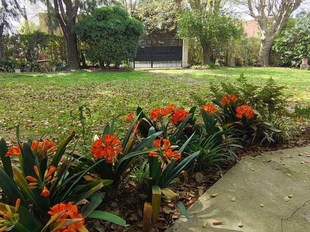 place photo 33