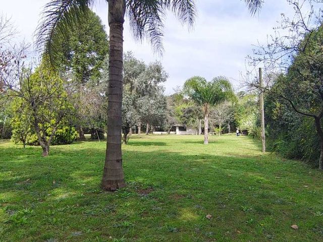 place photo 26
