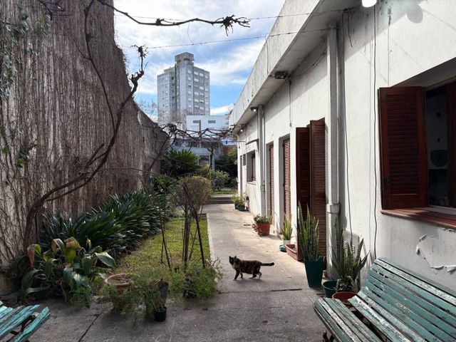 place photo 19