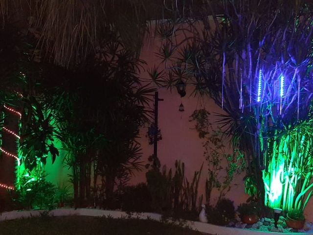place photo 43