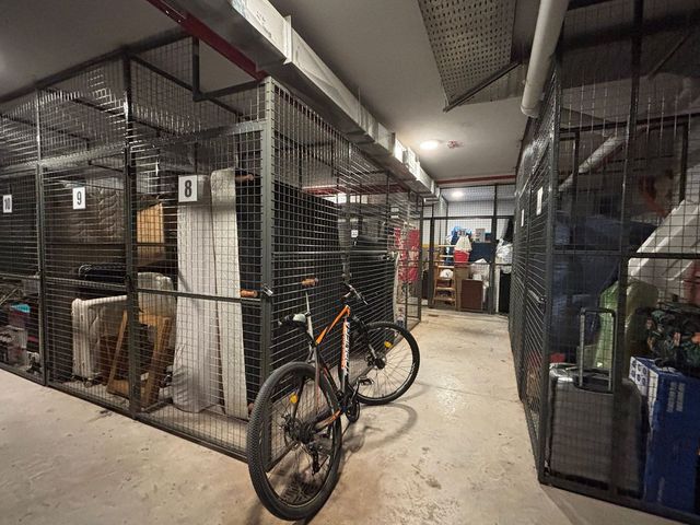 place photo 37