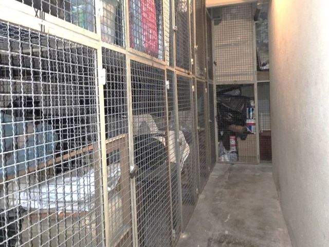 place photo 34