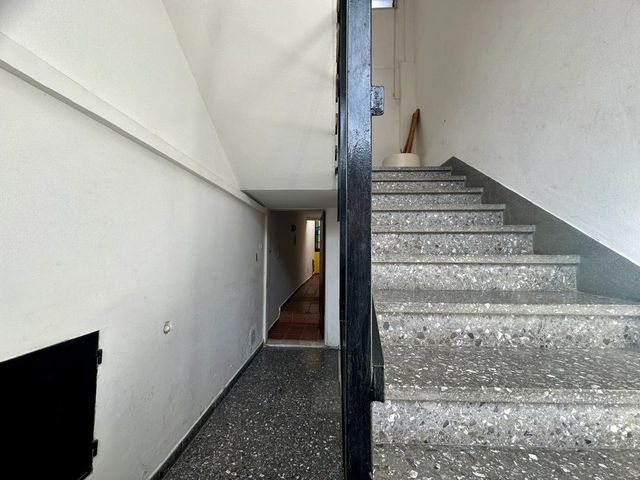 place photo 83
