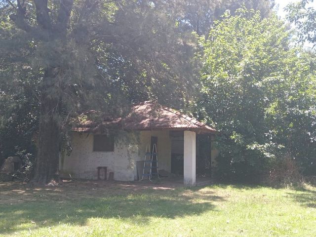 place photo 21
