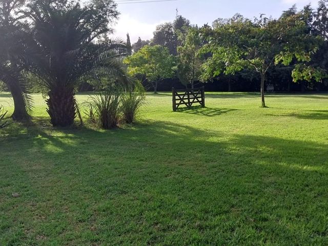 place photo 41