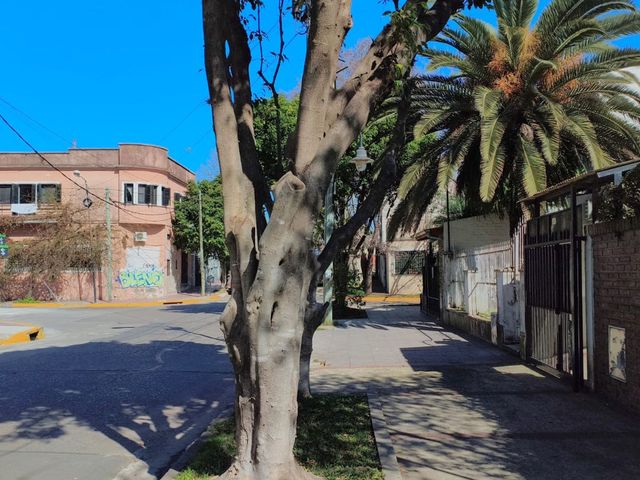 place photo 30