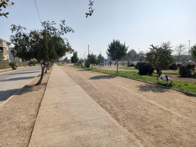 place photo 26